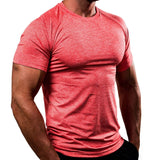 Men Designer Quick Dry T-Shirts Running Slim Fit