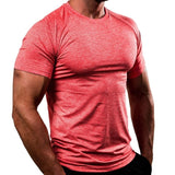 Men Designer Quick Dry T-Shirts Running Slim Fit