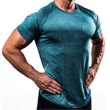 Men Designer Quick Dry T-Shirts Running Slim Fit