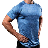 Men Designer Quick Dry T-Shirts Running Slim Fit